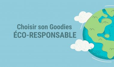 La tendance éco-responsable dans l’univers du Goodies !